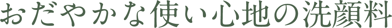 おだやかな使い心地の洗顔料
