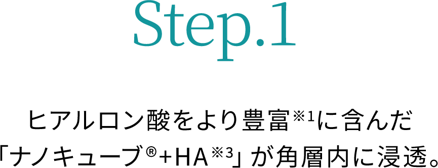 Step1 ヒアルロン酸をより豊富に含んだ「ナノキューブ®＋HA」が角層内に浸透。