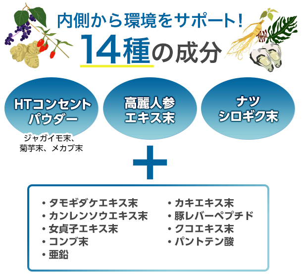 内側から環境をサポート！14種類の成分