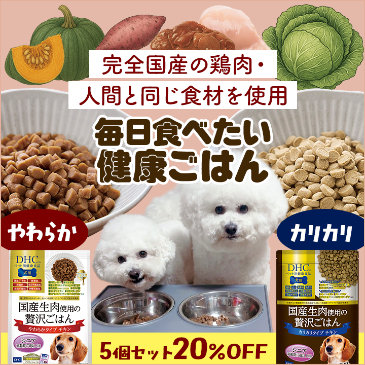 毎日食べたいワンちゃんの健康ごはん