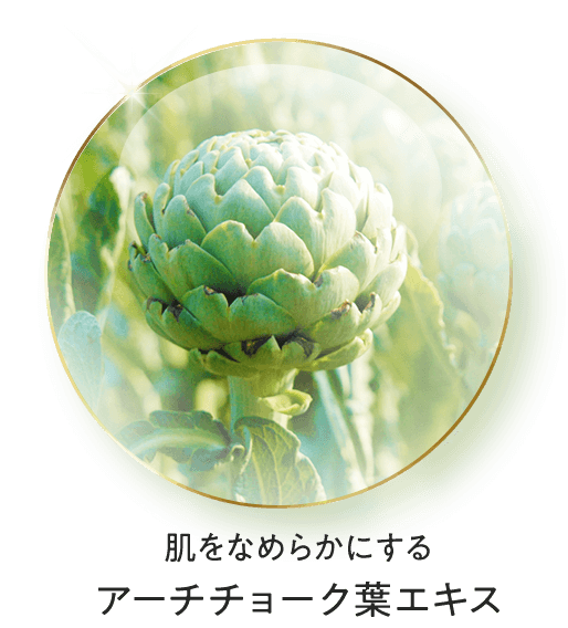 アーティチョーク葉エキス