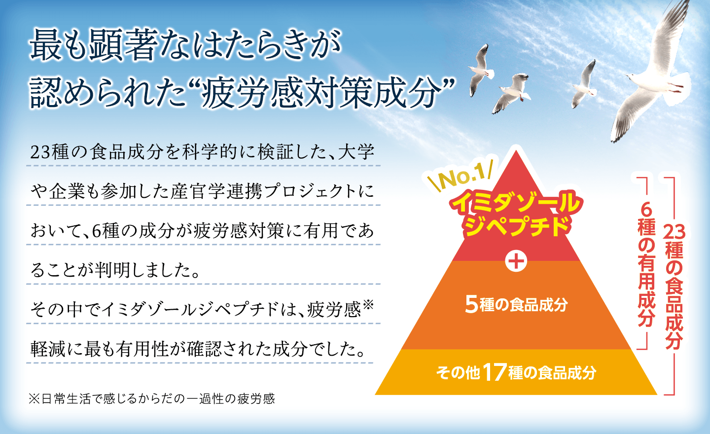 疲労感対策成分