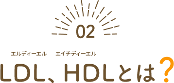 LDL、HDLとは？