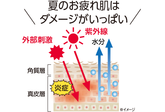 極上着心地インナーpoint