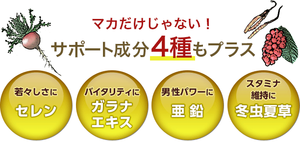 マカだけじゃない！サポート成分4種もプラス