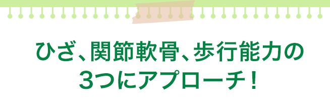 年齢とともに減っていく軟骨成分をサプリメントで！