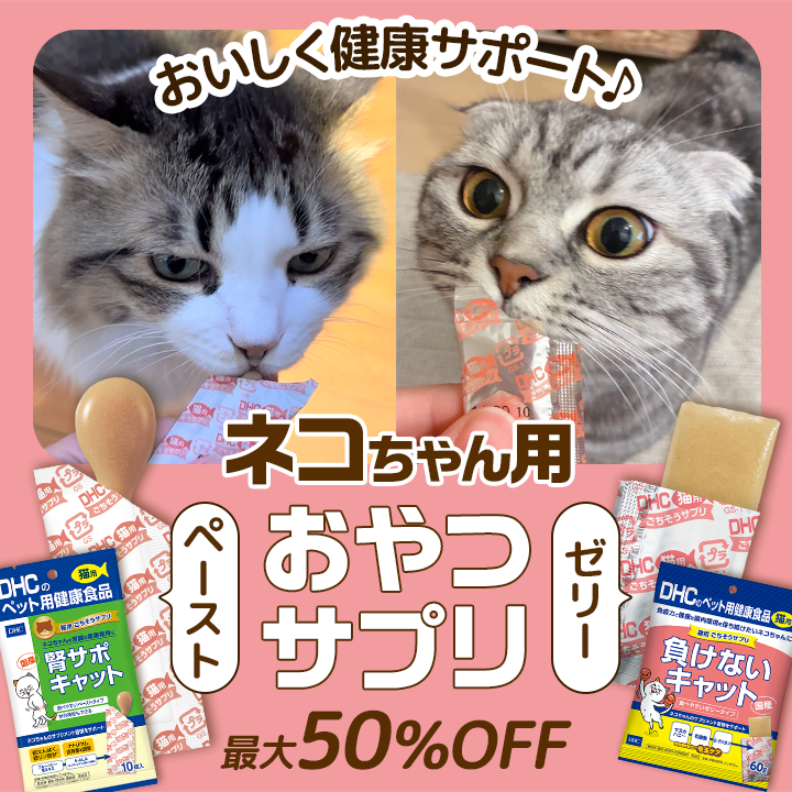 おいしく健康サポート♪ネコちゃん用 おやつサプリ 最大50％OFF