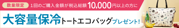 今月の新商品