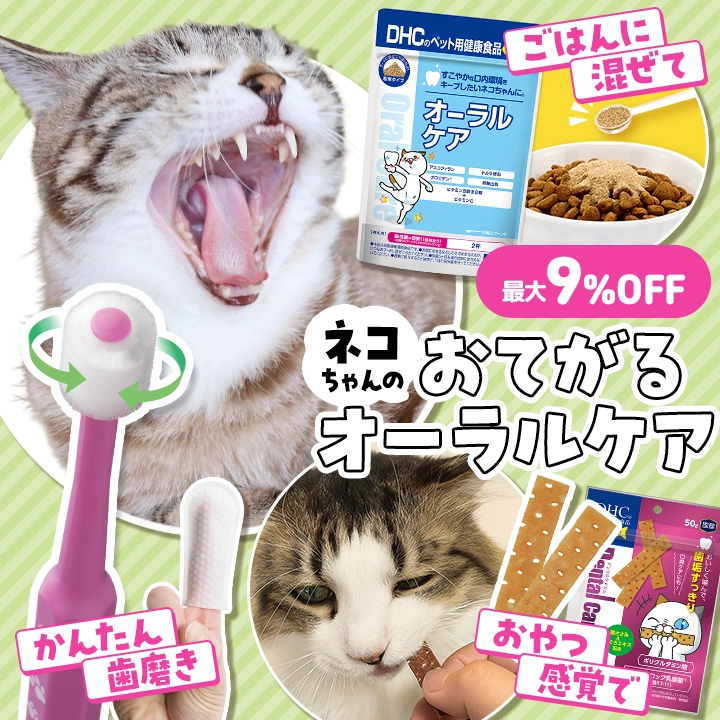 ネコちゃんのオーラルケア(MAX9%OFF)
