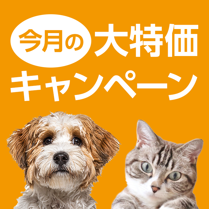 おすすめ商品4