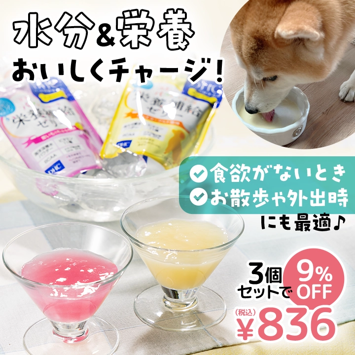 水分と栄養を手軽にチャージ！栄養補給ゼリー