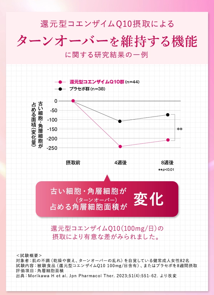 還元型コエンザイムQ10摂取によるターンオーバーを維持する機能に関する研究結果の一例