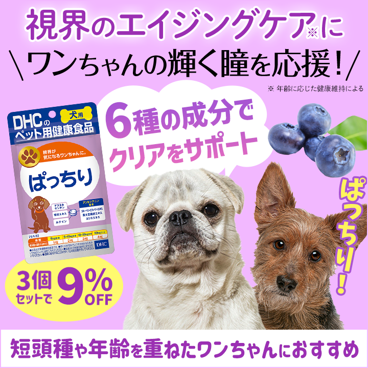 大人気！ぱっちり 3個セット9％OFF