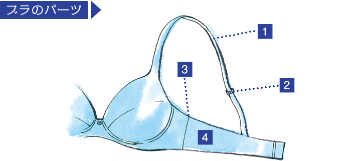 ブラのパーツ