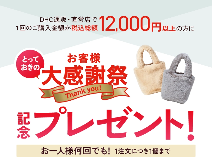 大感謝祭記念プレゼント!