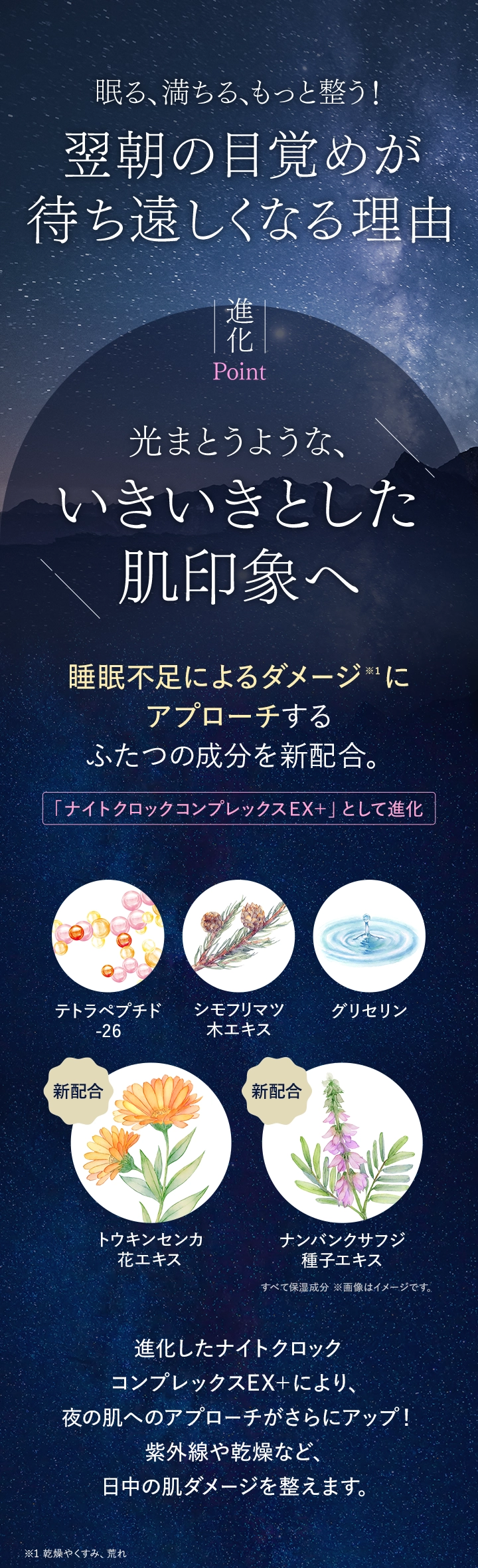 翌朝の目覚めが待ち遠しくなる理由 いきいきとした肌印象へ