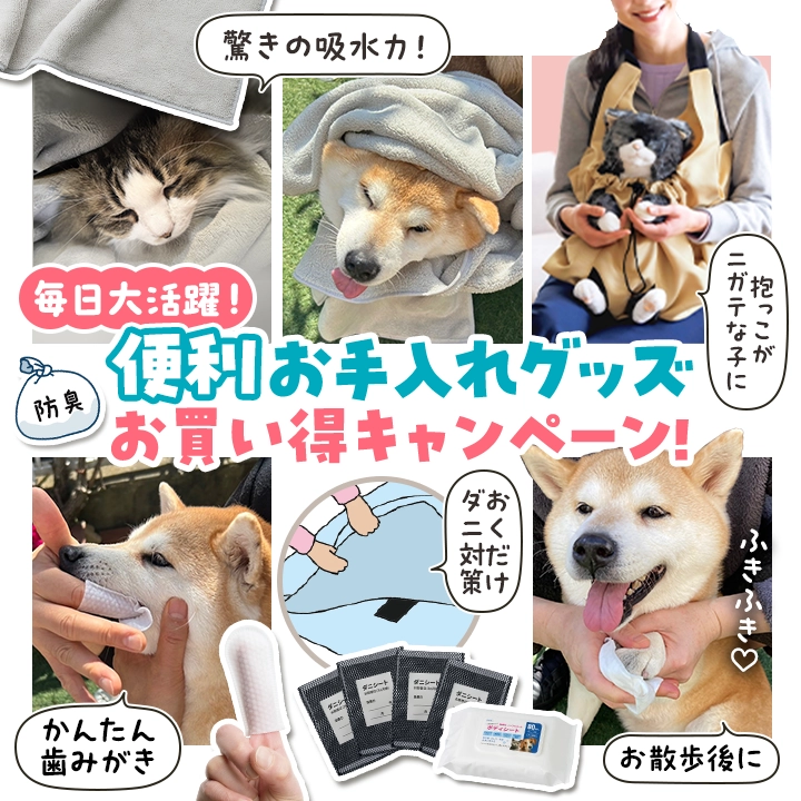 ペット雑貨キャンペーン中
