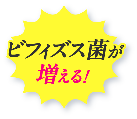 ビフィズス菌が増える！