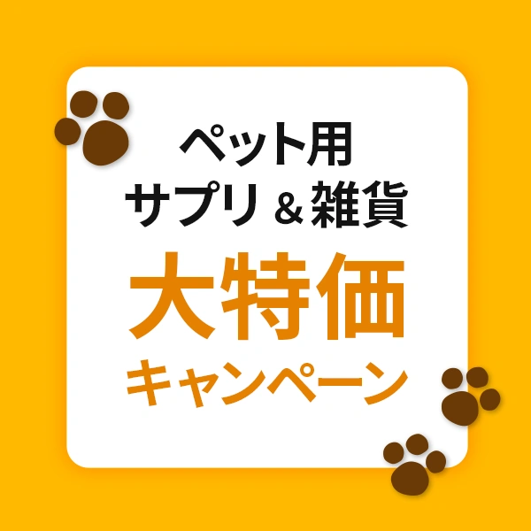 大特価キャンペーン