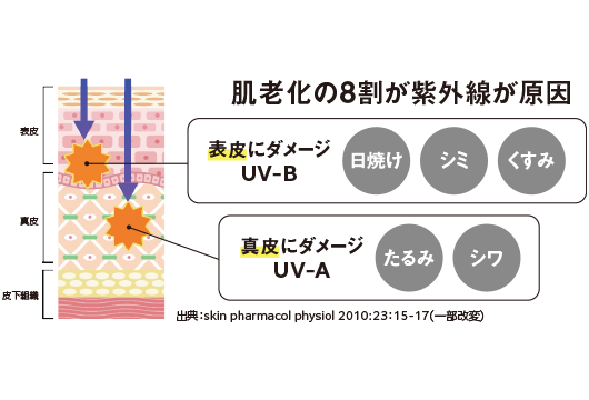 肌老化の8割が紫外線が原因