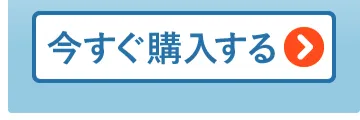 今すぐ購入する＞