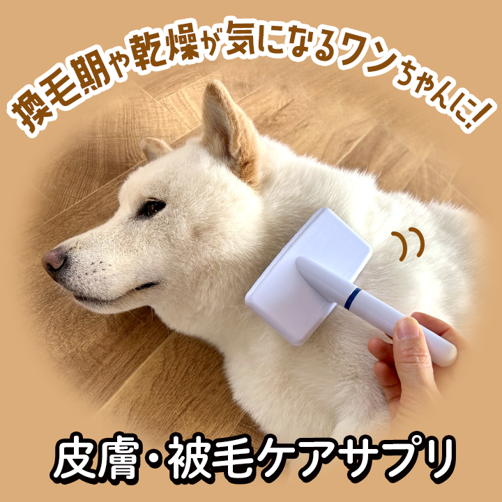 換毛期や乾燥が気になるワンちゃんに