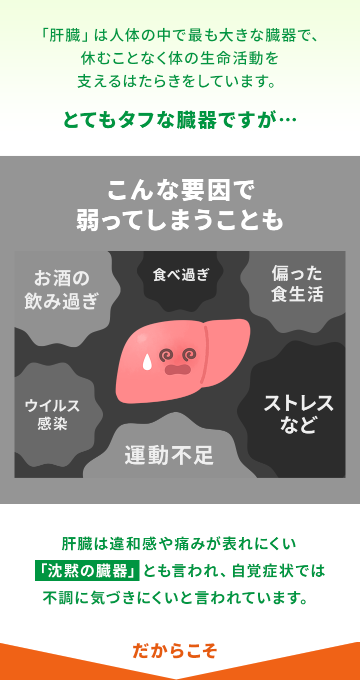 とてもタフな臓器ですが…こんな要因で弱ってしまうことも