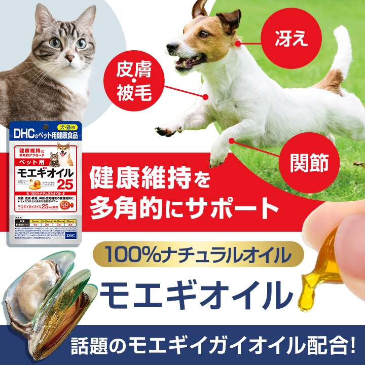 モエギオイル