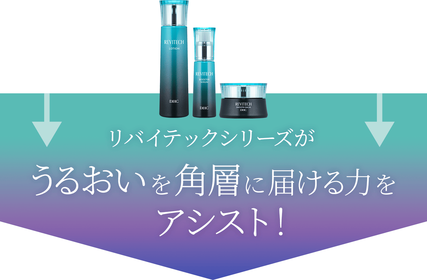 リバイテックシリーズが、うるおいを角層に届ける力をアシスト！
