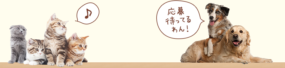 ご応募待ってるわん！