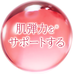 肌弾力をサポートする