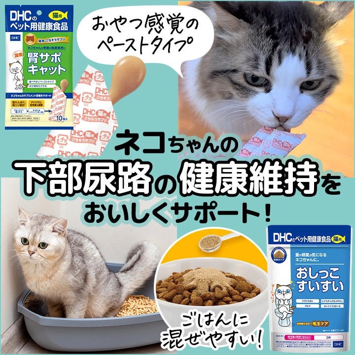 ネコちゃんの下部尿路の健康維持