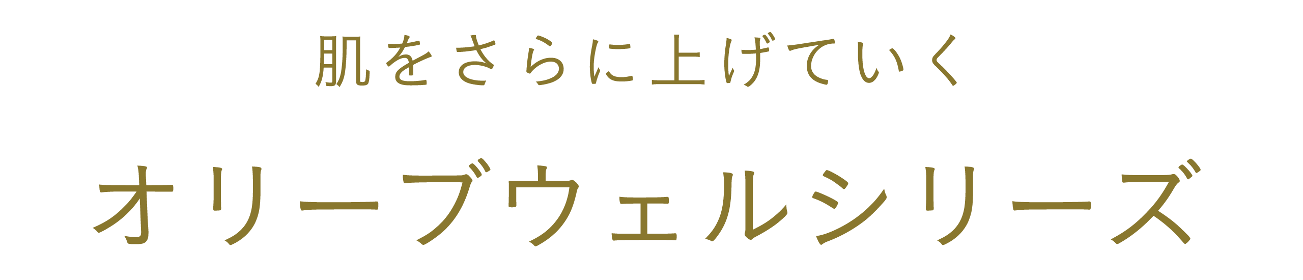 肌をさらに上げていくオリーブすべすべシリーズ