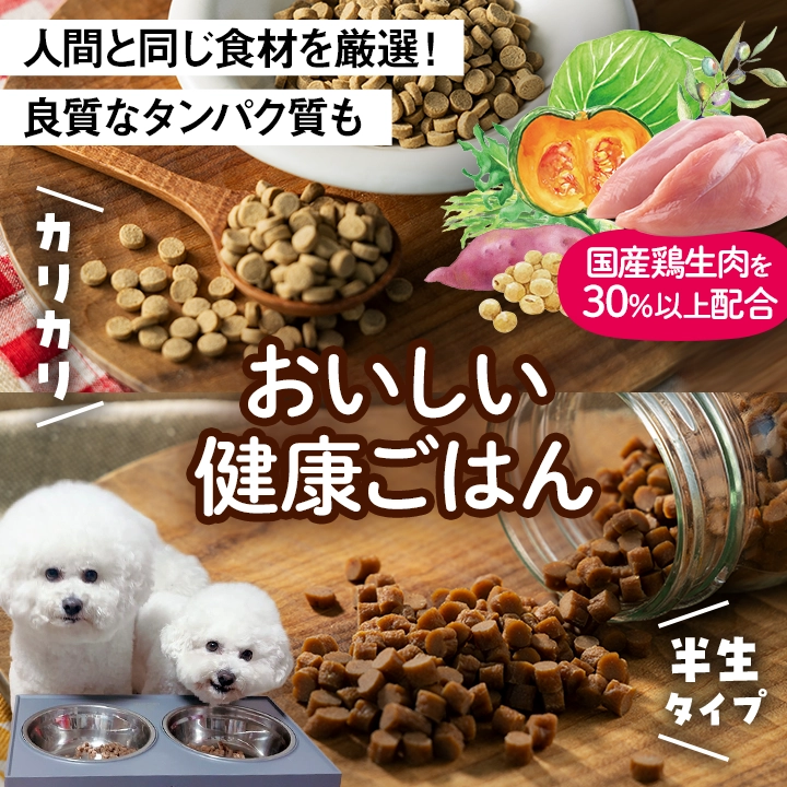 国産鶏肉使用！ワンちゃんの健康ごはん