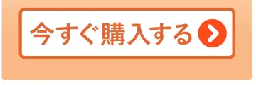 今すぐ購入する＞