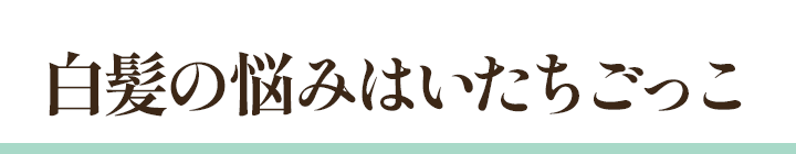 白髪のなやみはいたちごっこ