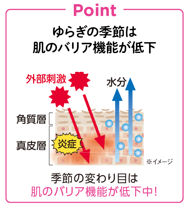極上着心地インナーpoint