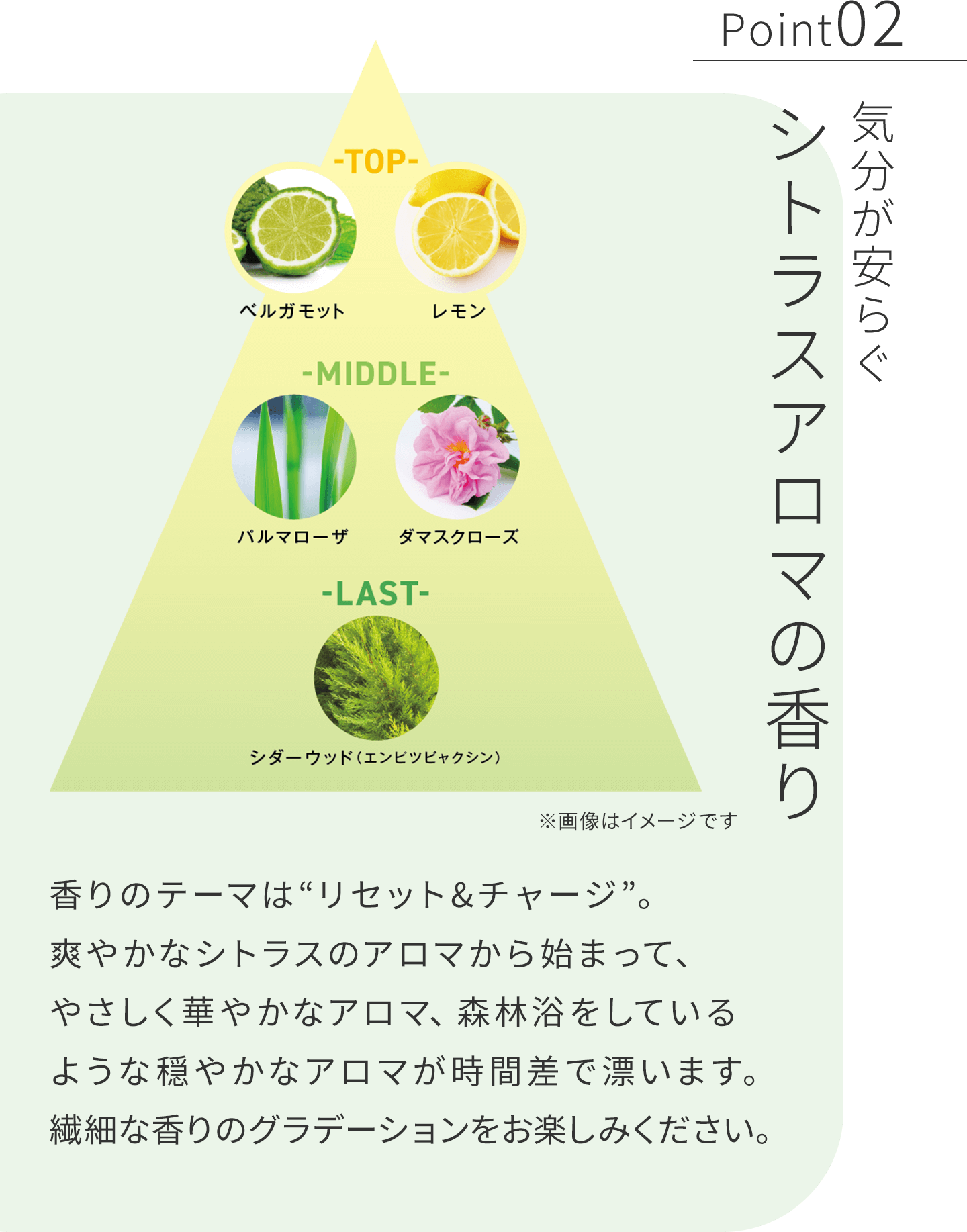 シトラスアロマの香り