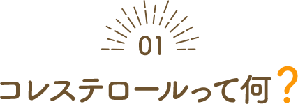 コレステロールって何？