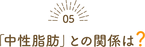 中性脂肪との関係は？