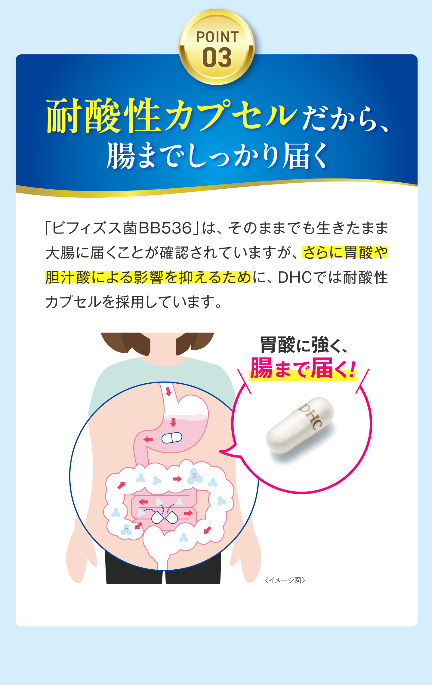 耐酸性カプセルだから、腸までしっかり届く