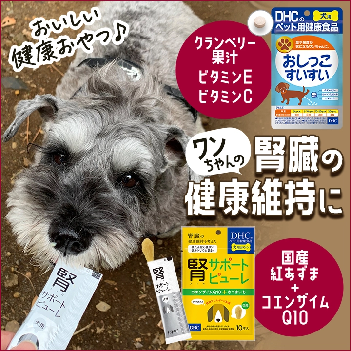 ワンちゃんの腎臓の健康維持に