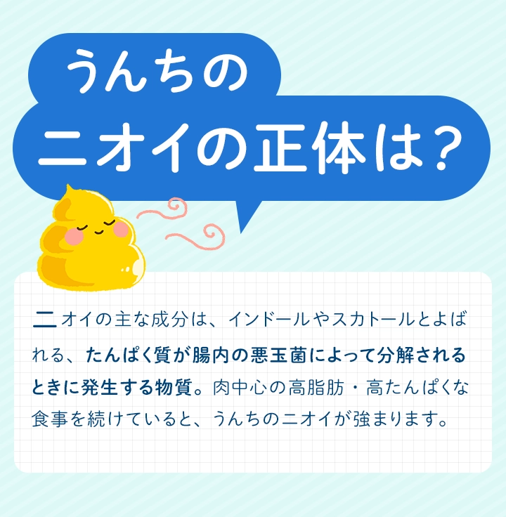 うんちのうんちく うんちのニオイの正体は？