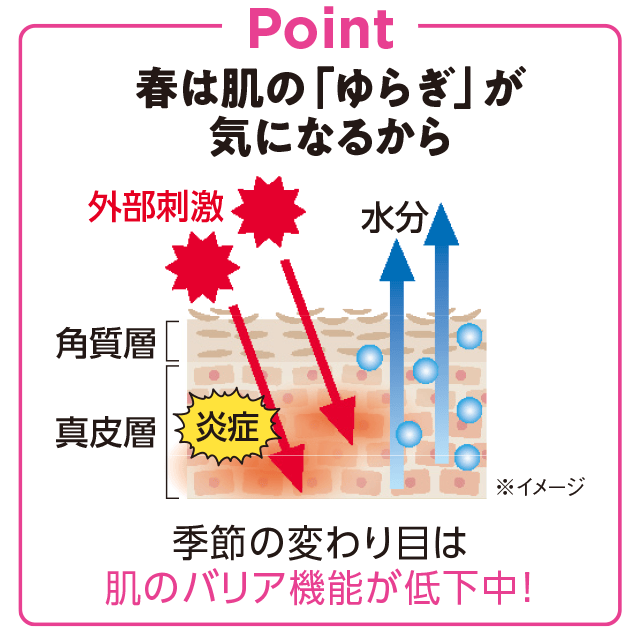 極上着心地インナーpoint