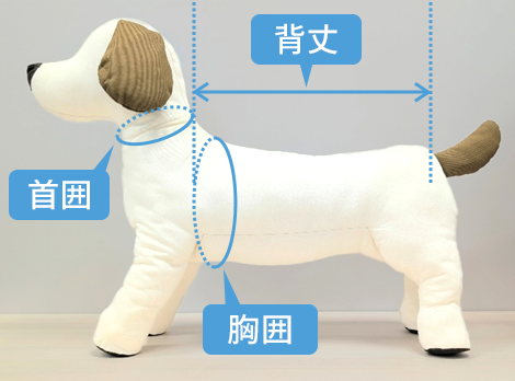 測定箇所