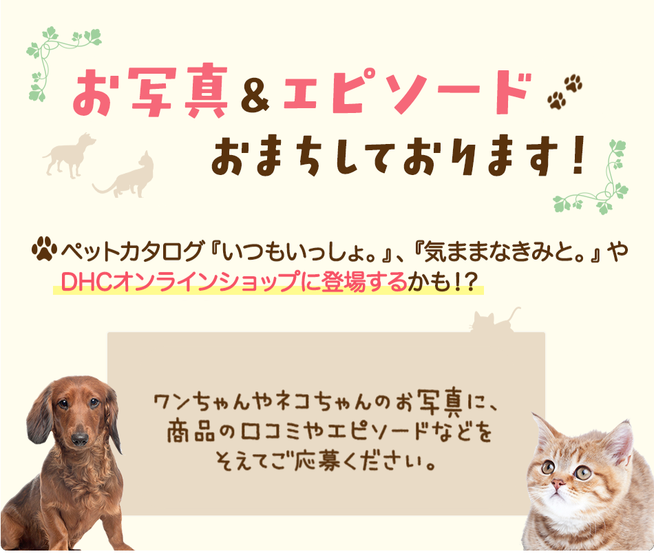 お写真＆エピソードご応募ください