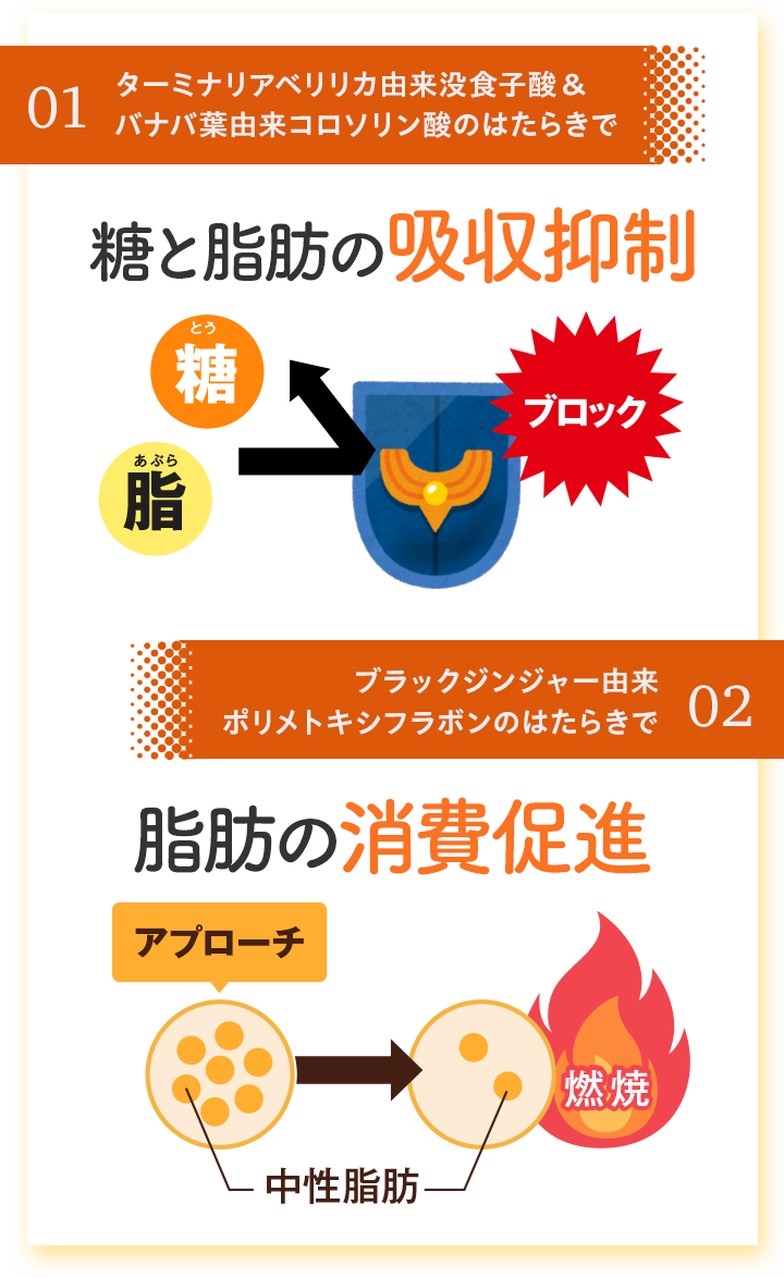 糖と脂肪の吸収抑制と脂肪の消化促進を促します