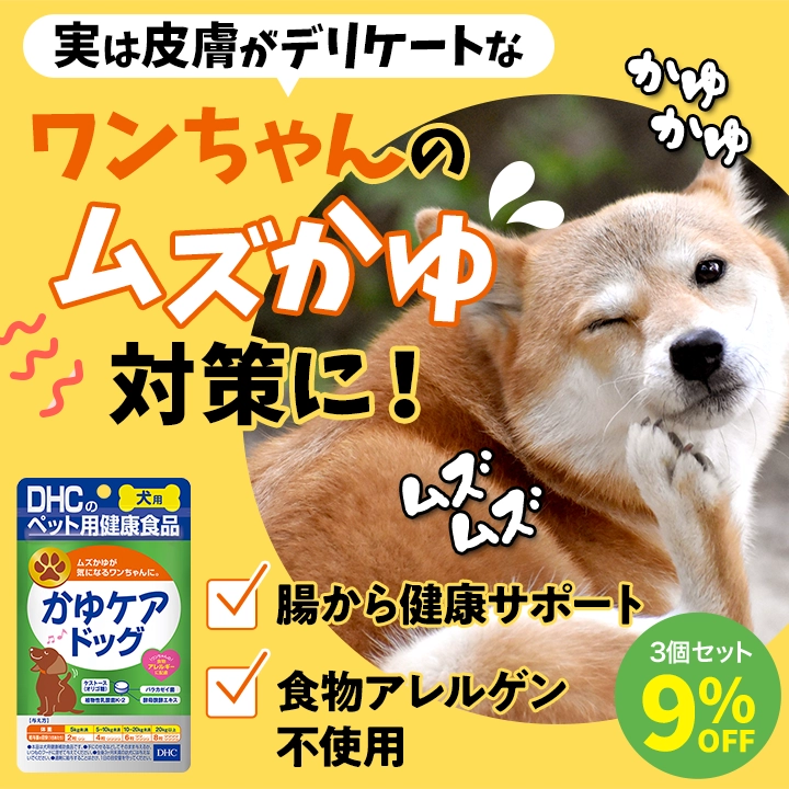 かゆケアドッグ 3個セット9%OFF