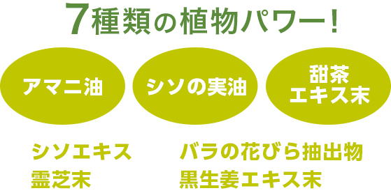 7種類の植物パワー！