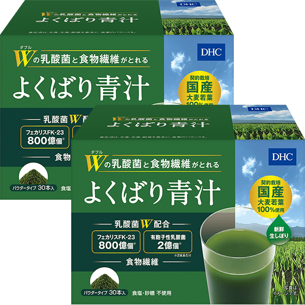 【大感謝祭WEB限定セール】Wの乳酸菌と食物繊維がとれる よくばり青汁&nbsp;2個セット
